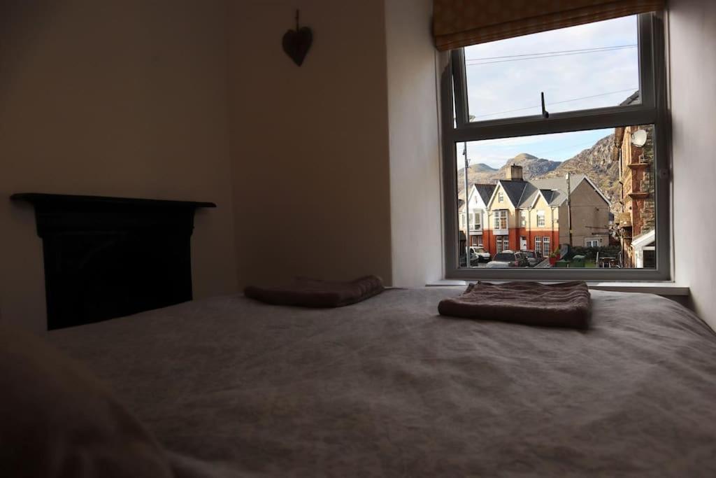 Dol Bach - Your Homely Welsh Cottage In The Heart Of Snowdonia Blaenau Ffestiniog Exteriör bild