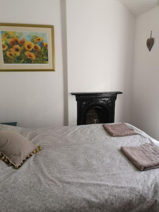 Dol Bach - Your Homely Welsh Cottage In The Heart Of Snowdonia Blaenau Ffestiniog Exteriör bild