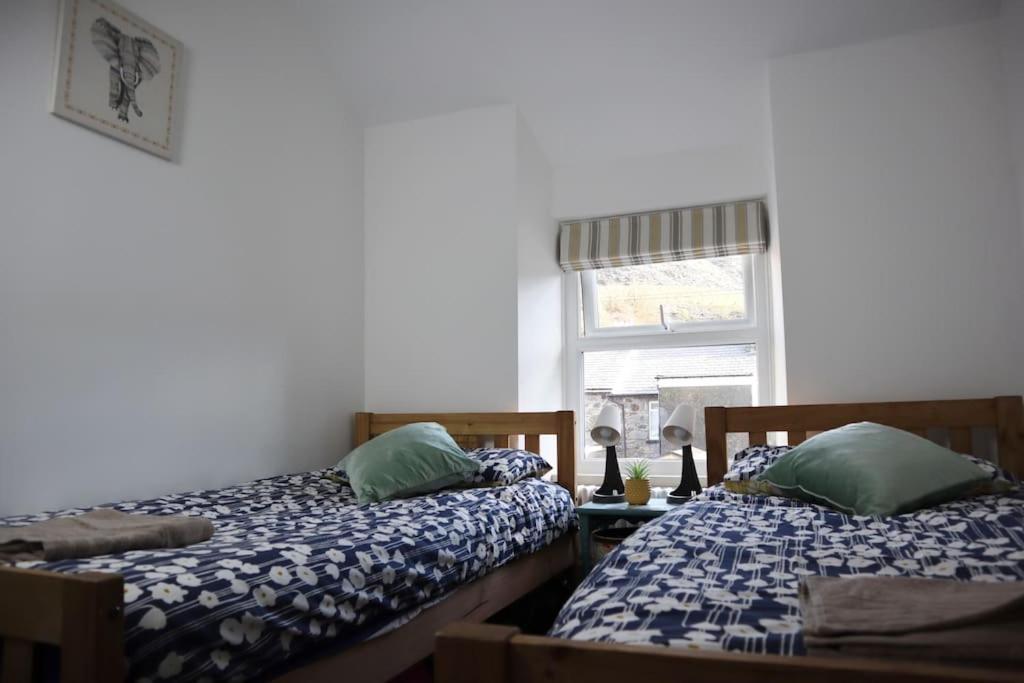 Dol Bach - Your Homely Welsh Cottage In The Heart Of Snowdonia Blaenau Ffestiniog Exteriör bild